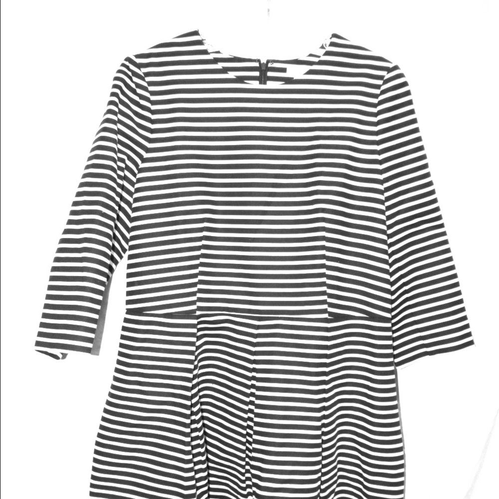 Gap Fit and flare dress